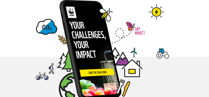 Measure your footprint