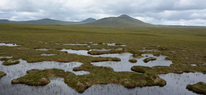 7. End burning on peatland and the commercial extraction and sale of peat for horticulture across Scotland by 2023 