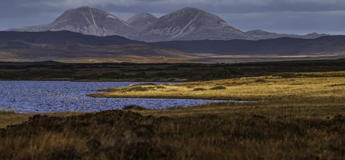 11 actions for nature recovery in Scotland 