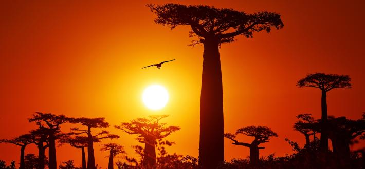 5 ways to take action for climate