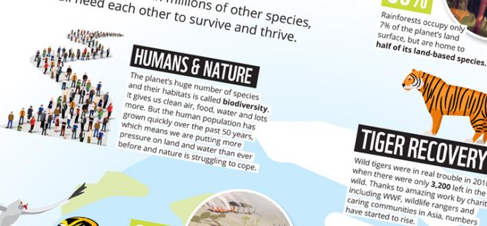 What is biodiversity?