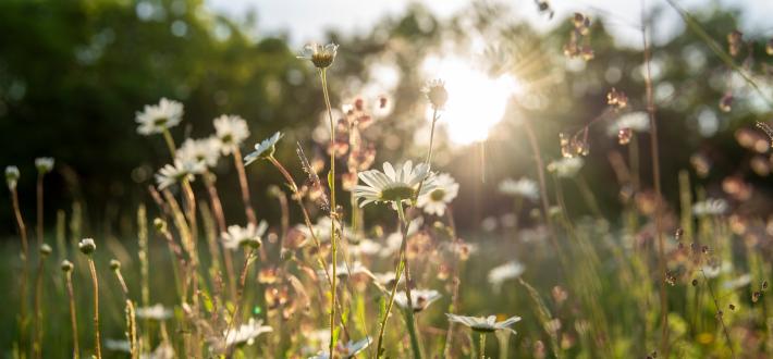 How you helped make a difference in 2021