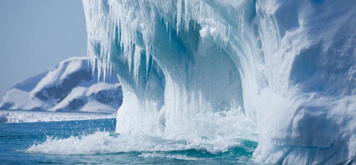 Cool polar quiz