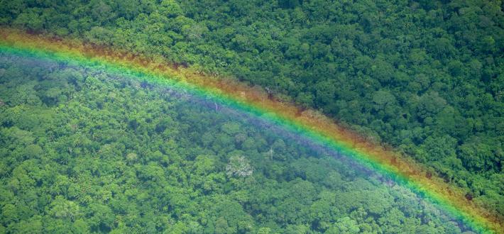 World Wide Fund for Nature | WWF