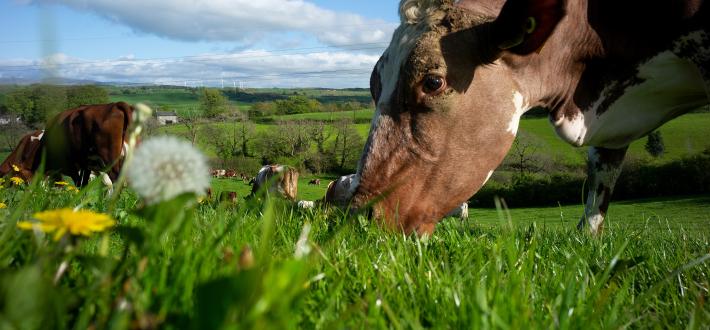 Farming with Nature and Climate - February 2022