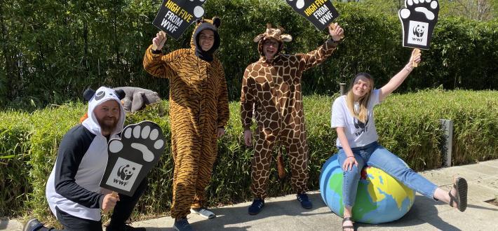 Fundraise at University