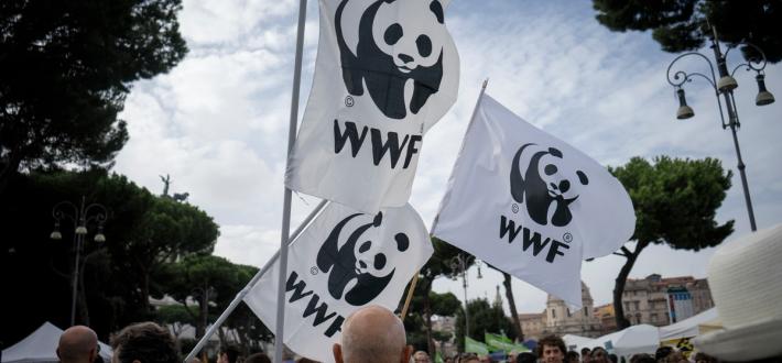 Become a WWF member