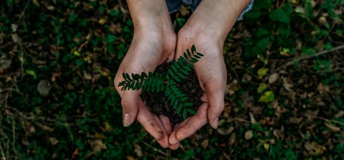 A guide to greenwashing