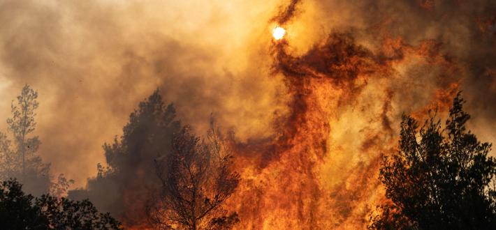 Tell your MP to act on climate change
