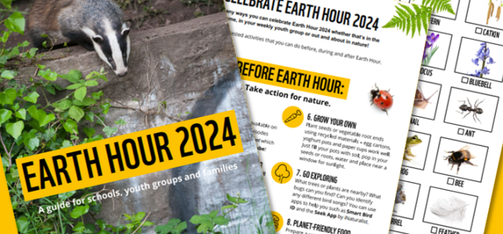 Earth Hour Activity Pack - English