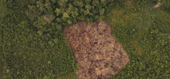 Environmental Crimes Financial Toolkit (ECFT)