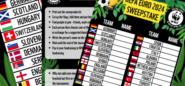 EURO 2024 Sweepstake and football fundraising
