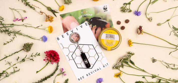 The Original Bee Revival Kit