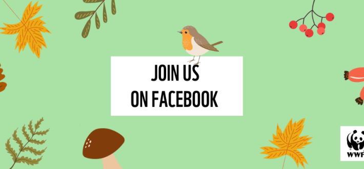 Join us on Facebook