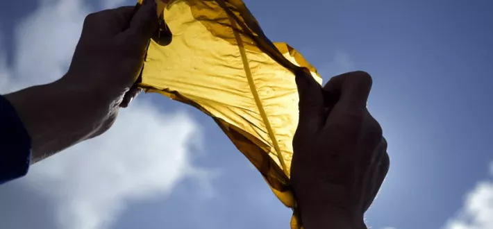 Art For Your Oceans Brings the Arts and the Environment Together