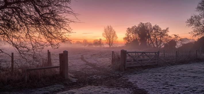 UK nature through the seasons