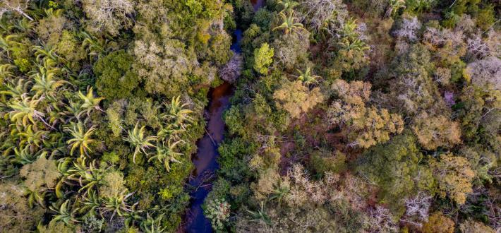 World Wildlife Day 2024