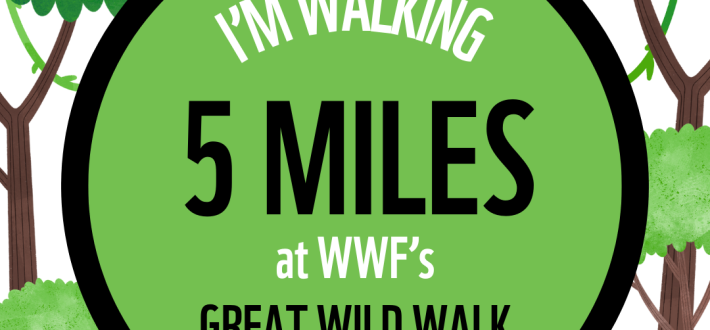 Social Post - 5 miles