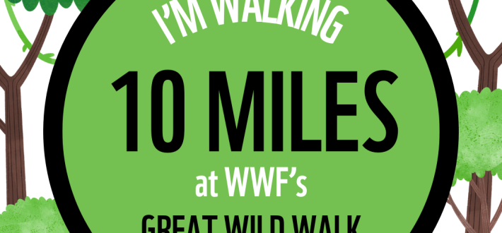 Social Post - 10 miles