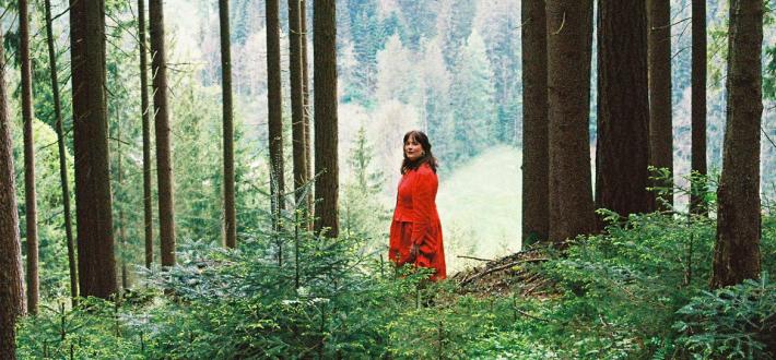 WWF and Music Declares Emergency