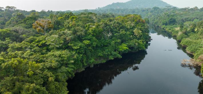Rivers and wetlands