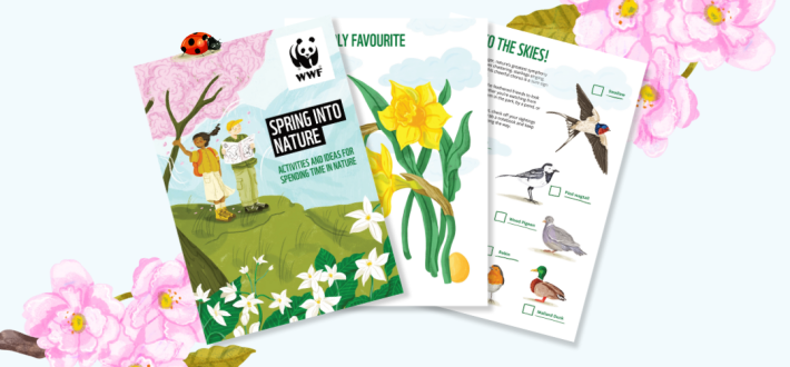 Spring into Nature pack