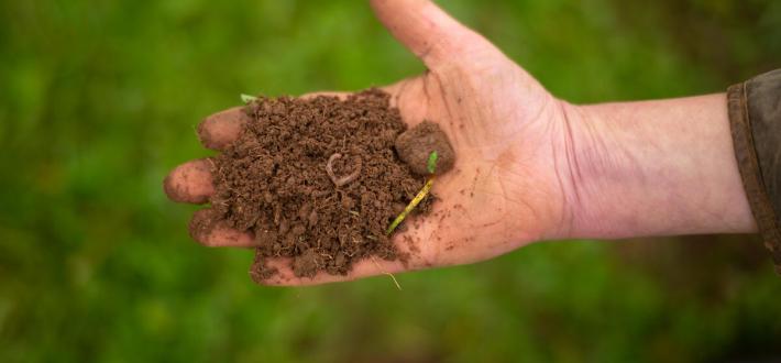 WWF Nitrogen Briefing: from pollution to solutions December 2025