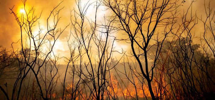 Sign the living planet act