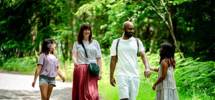 Feel good forest trail