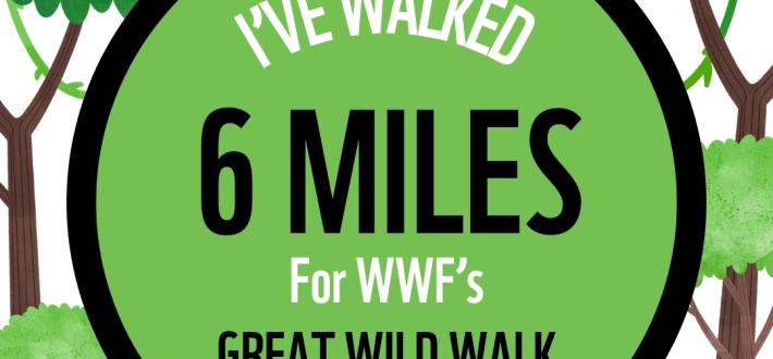 Social Post - 6 miles