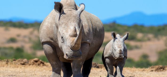 A gift that connects generations