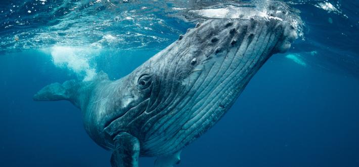 How you helped in 2025