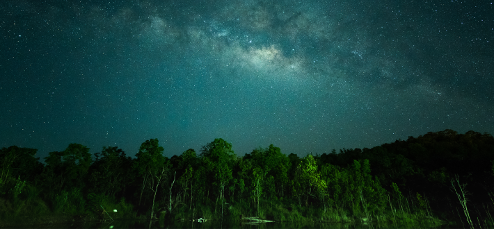 Earth Hour - 28 March, 8:30PM