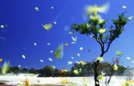 Explore biodiversity