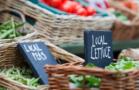 Food and Food Growing