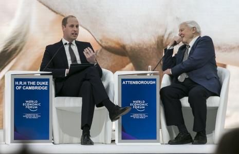 Sir David Attenborough calls for a New Deal For Nature
