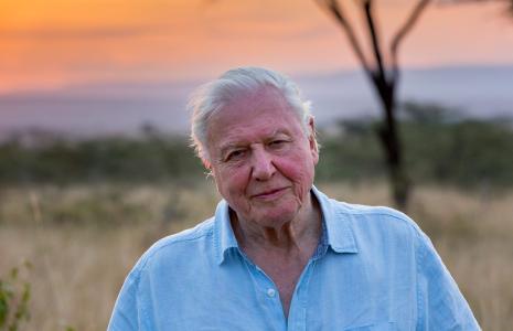 How David Attenborough are you?