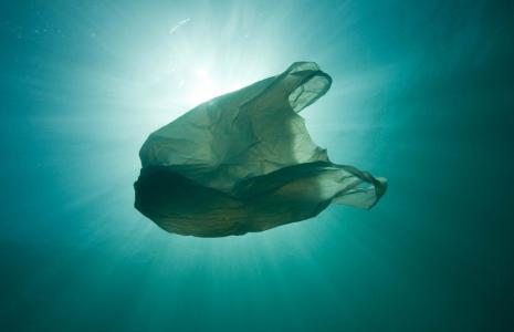 Plastic pollution - the never ending story
