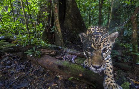 Make a gift and partner with us