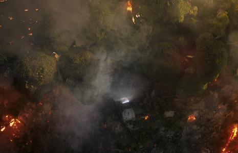 Join our deforestation campaign