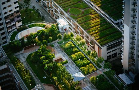 5. Ensure that all new development is net positive for nature through the National Planning Framework 4 in 2022 