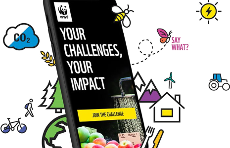 Download the my Footprint app
