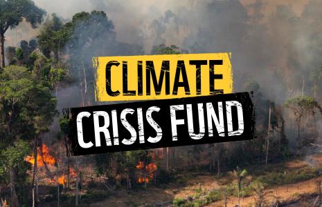 Donate to our climate crisis fund