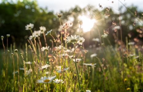 How you helped make a difference in 2021