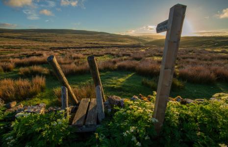 Wild Ingleborough