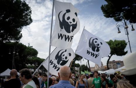 Become a member of WWF