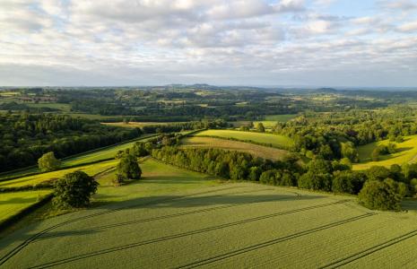 Creating a sustainable food system