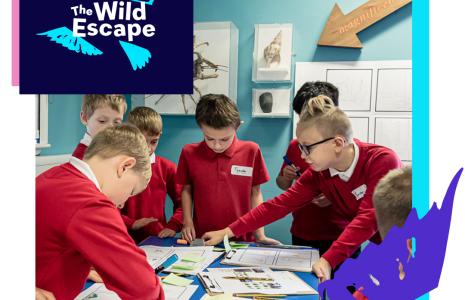 EXPLORING OUR WILD ISLES: CREATURES AND CREATIVITY