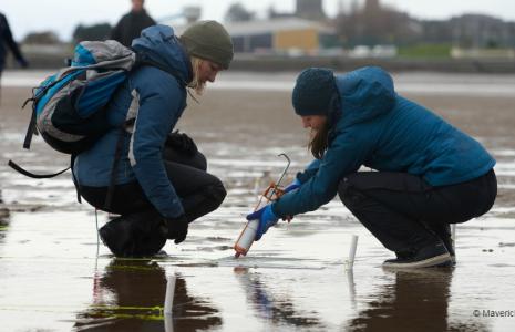 Restoration Forth Case Study