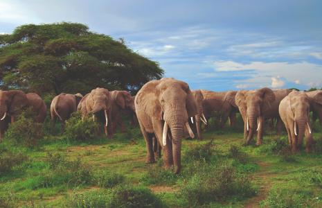 From conflict to coexistence